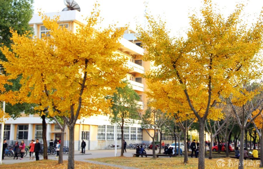 ������ʦ��������